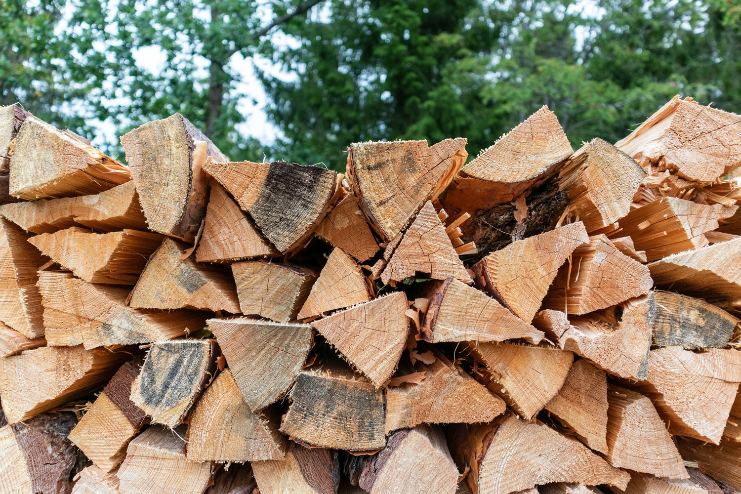 A stacked pile of split hardwood firewood in front of trees